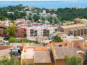Piso, Genova, Palma de Mallorca