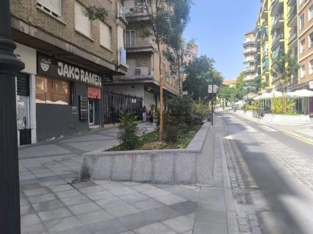 Piso, Gran Capitán, Granada