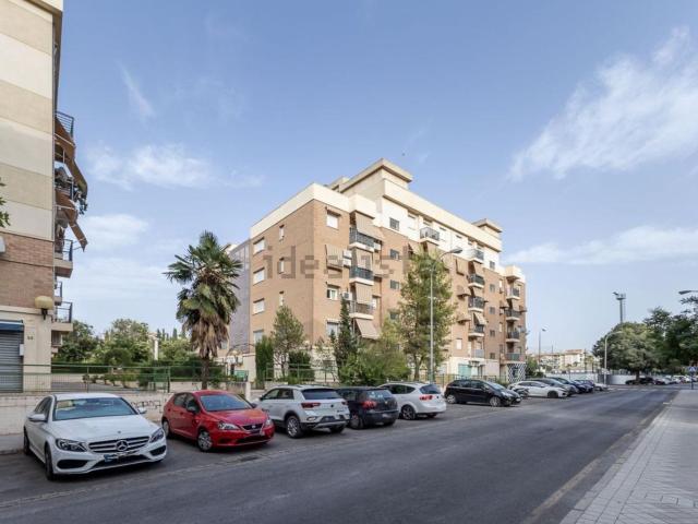 Piso, Granada