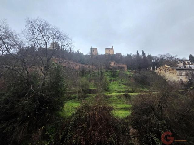 Piso, Granada