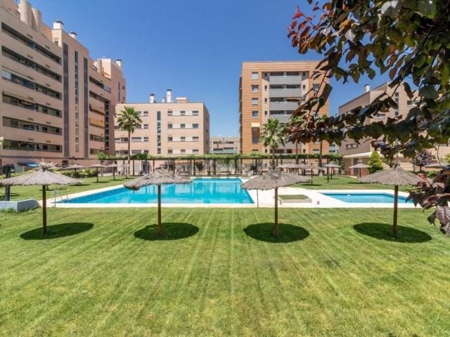 Piso, Granada