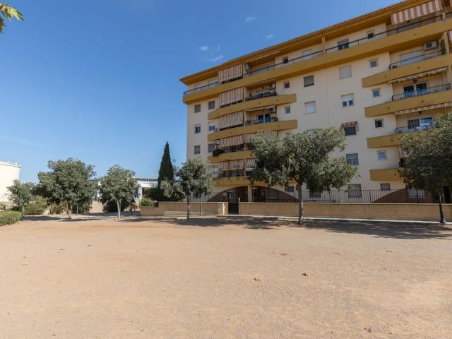 Piso, Granada
