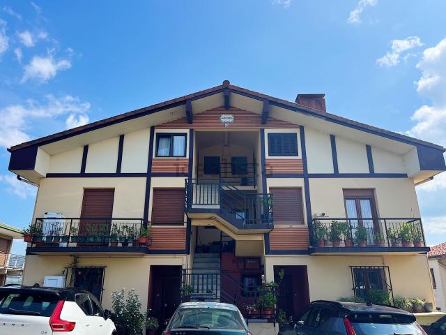 Piso, Hernani