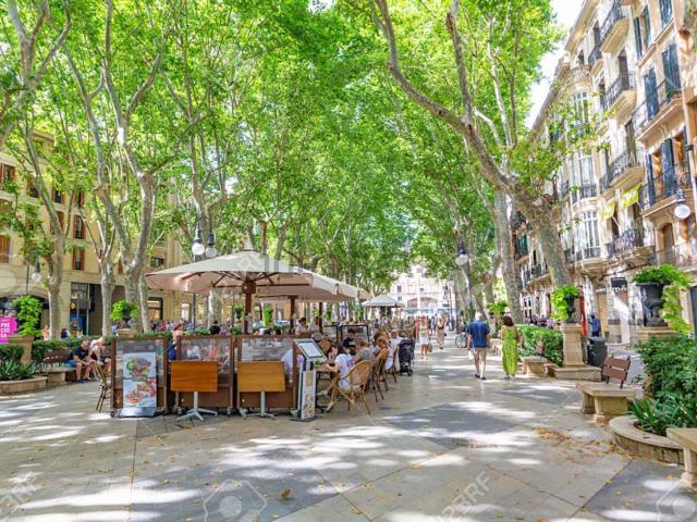 Piso, La Missio Mercat, Palma de Mallorca