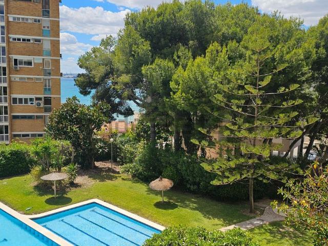 Piso, La Albufereta, Alicante / Alacant