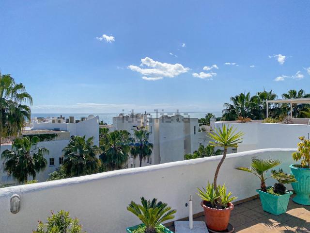 Piso, La Carolina Guadalpín, Marbella
