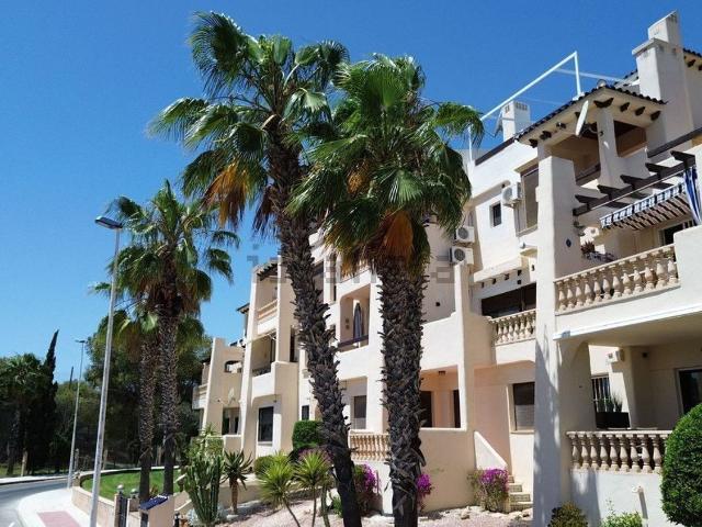 Piso, Orihuela