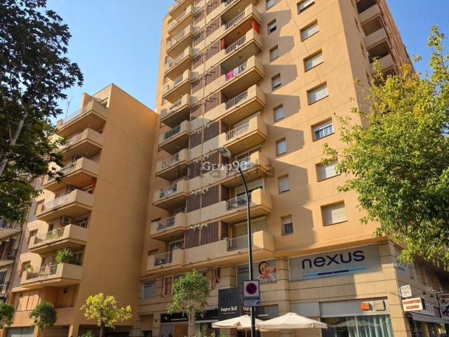 Piso, Lleida
