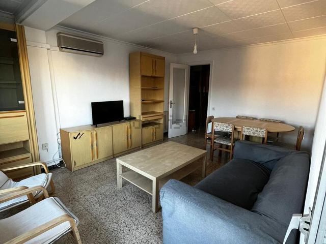 Piso, Lleida
