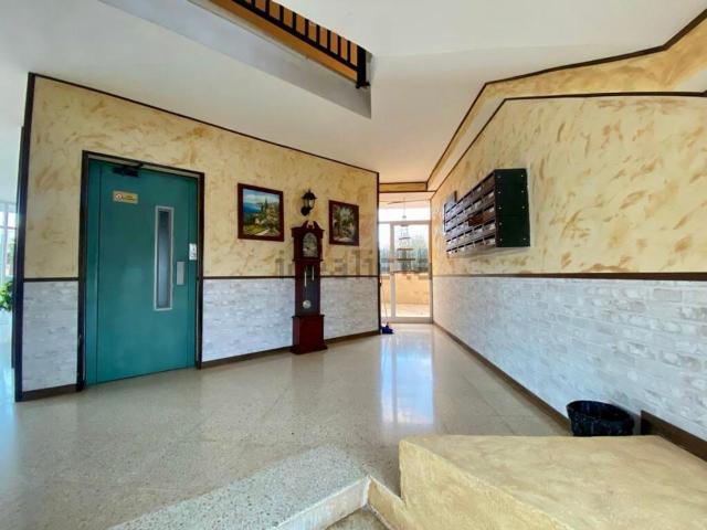 Piso, Llucmajor