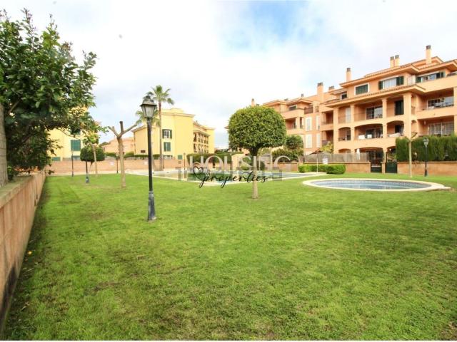 Piso, Llucmajor