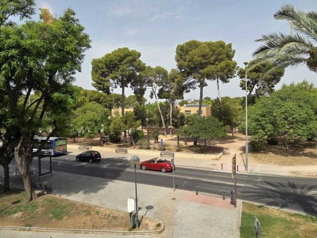 Piso, Lomas de Campoamor, Orihuela
