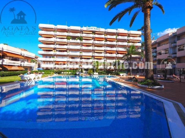 Piso, Puerto de la Cruz