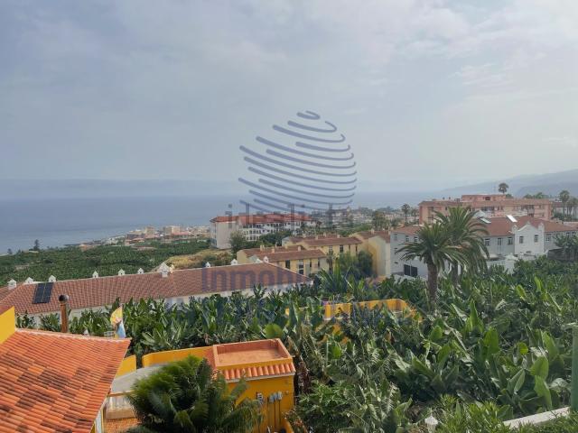 Piso, Puerto de la Cruz