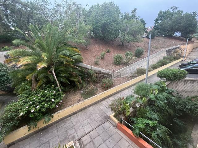 Piso, Puerto de la Cruz
