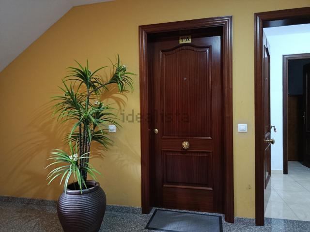 Piso, Puerto del Rosario