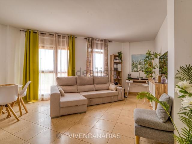 Piso, Puerto del Rosario