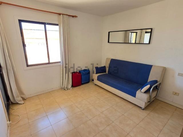 Piso, Pajara