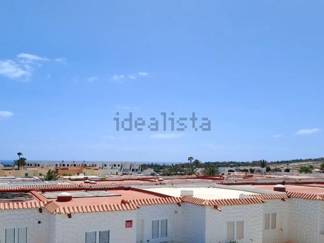 Piso, Pajara