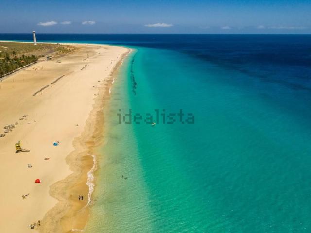Piso, Pajara