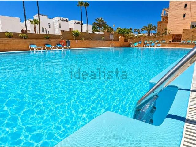 Piso, Pajara