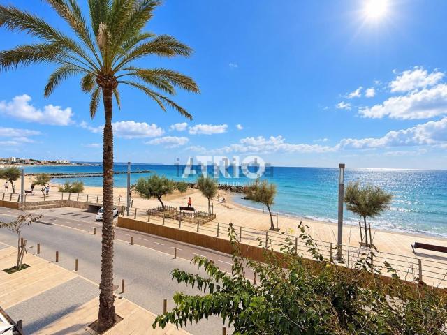 Piso, Palma de Mallorca