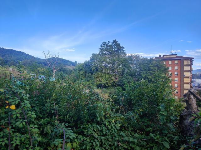 Piso, Pasaia