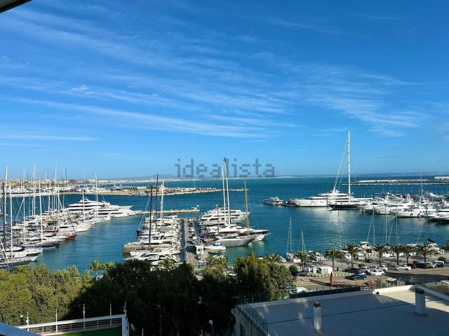 Piso, Paseo Marítimo, Palma de Mallorca