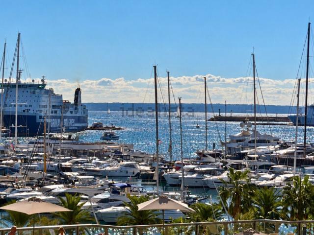 Piso, Paseo Marítimo, Palma de Mallorca