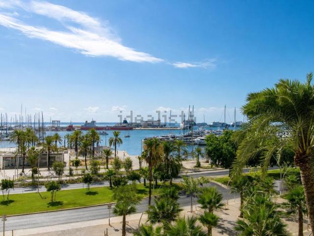 Piso, Paseo Marítimo, Palma de Mallorca