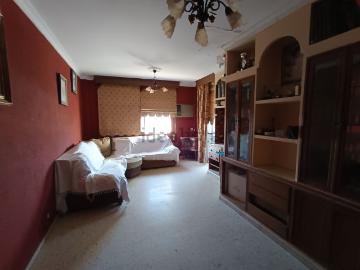 Jerez de la Frontera, Cádiz, Andalucía, Andalucía