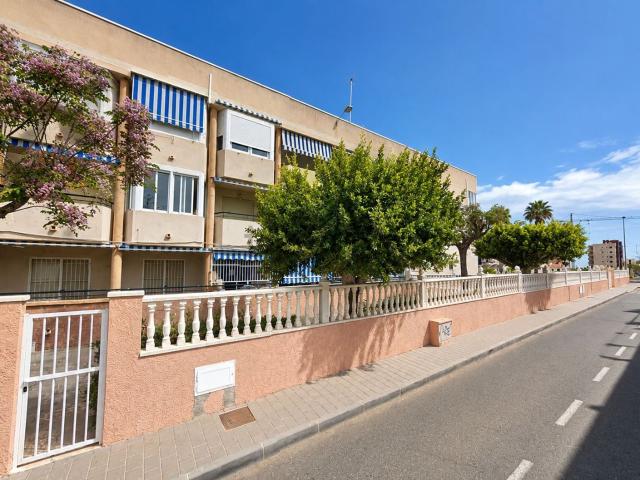 Piso, Pilar de la Horadada