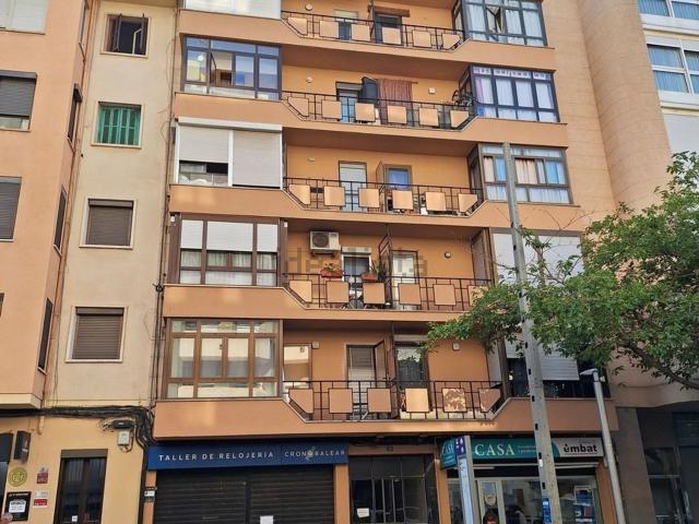 Piso, Plaça de Toros, Palma de Mallorca