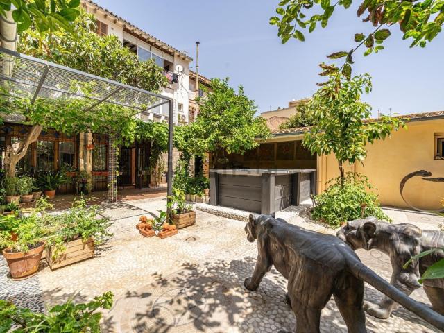 Piso, Plaça de Toros, Palma de Mallorca