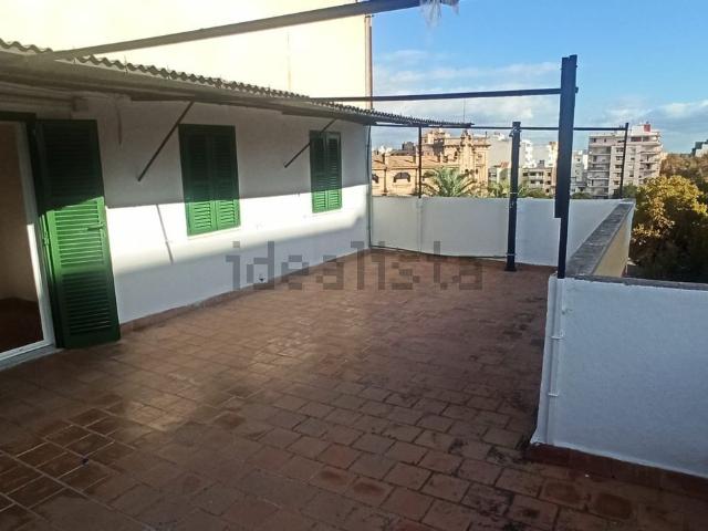 Piso, Plaça de Toros, Palma de Mallorca
