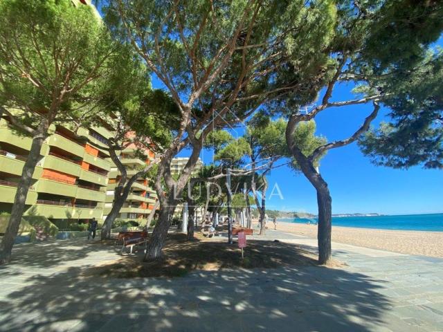 Piso, Platja Llarga, Castell Platja d&apos Aro