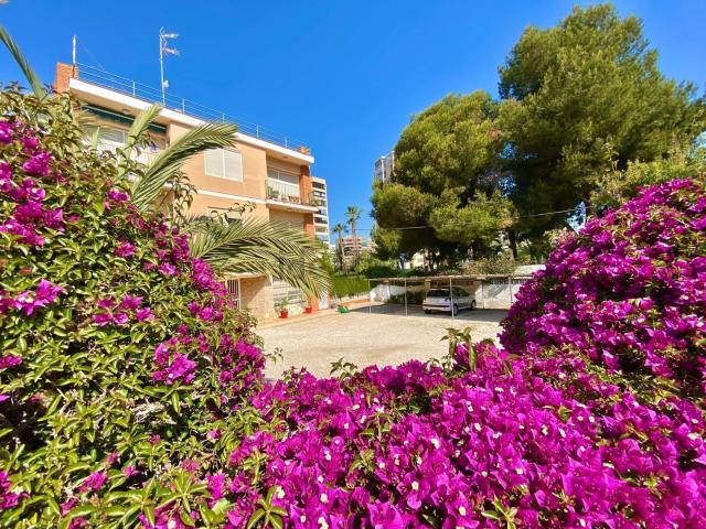 Piso, Playa de San Juan, Alicante / Alacant