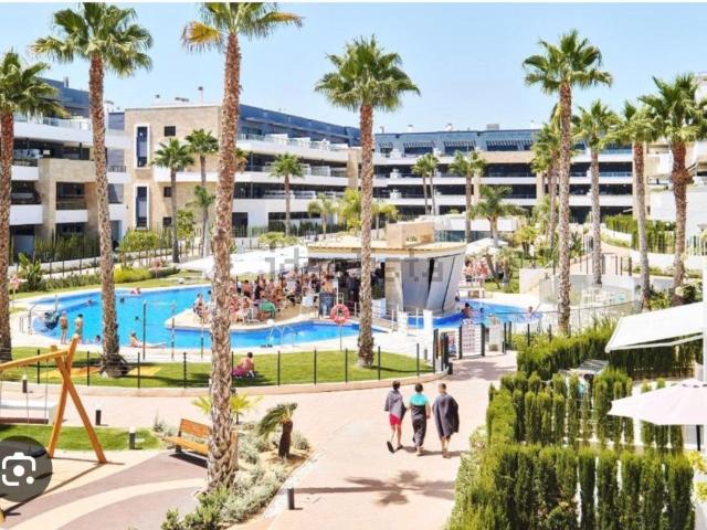 Piso, Playa Flamenca, Orihuela