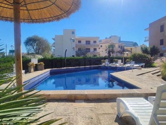 Piso, Pollença