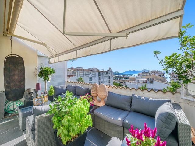 Piso, Pollença