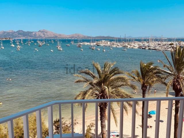 Piso, Pollença