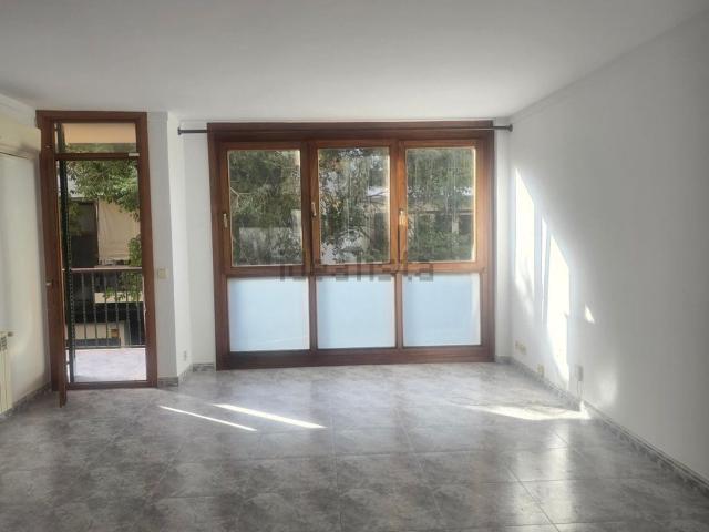 Piso, Pollença