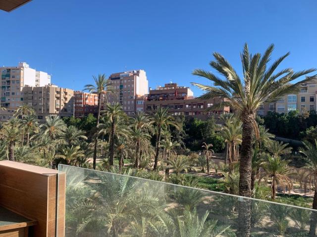 Piso, Raval de Santa Teresa El Asilo, Elche / Elx