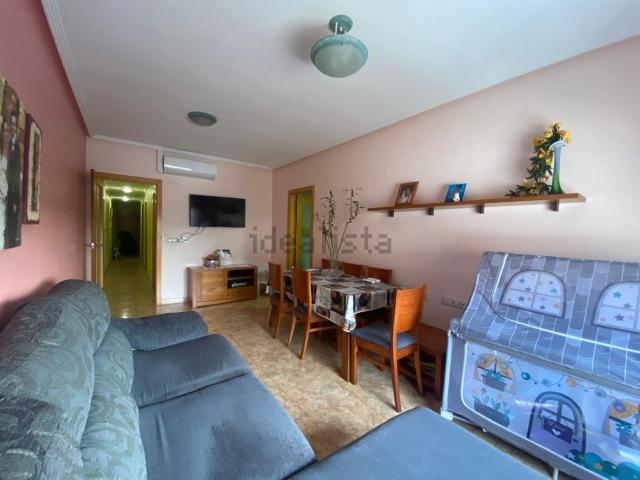 Piso, Redovan