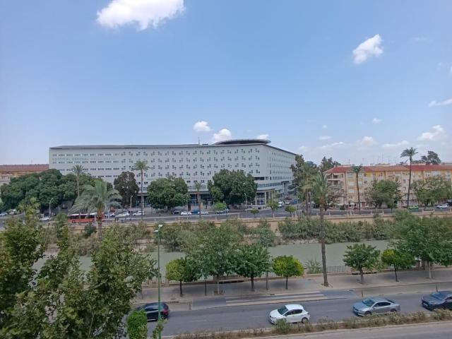PISO REFORMADO PARA ESTUDIANTES/PROFESIONALES SANITARIOS