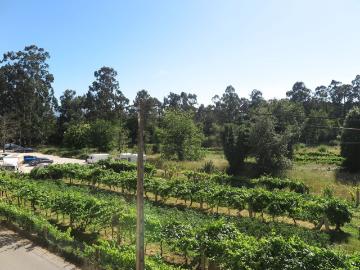 Piso, Salvaterra de Miño