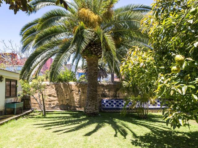 Piso, San Cristóbal de la Laguna