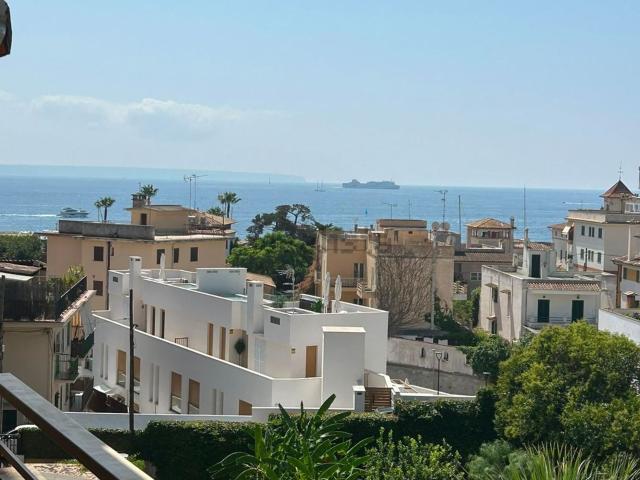 Piso, Sant Agustí, Palma de Mallorca