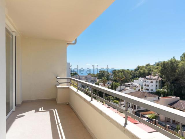 Piso, Sant Agustí, Palma de Mallorca