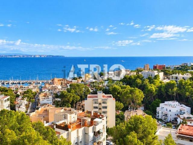 Piso, Sant Agustí, Palma de Mallorca
